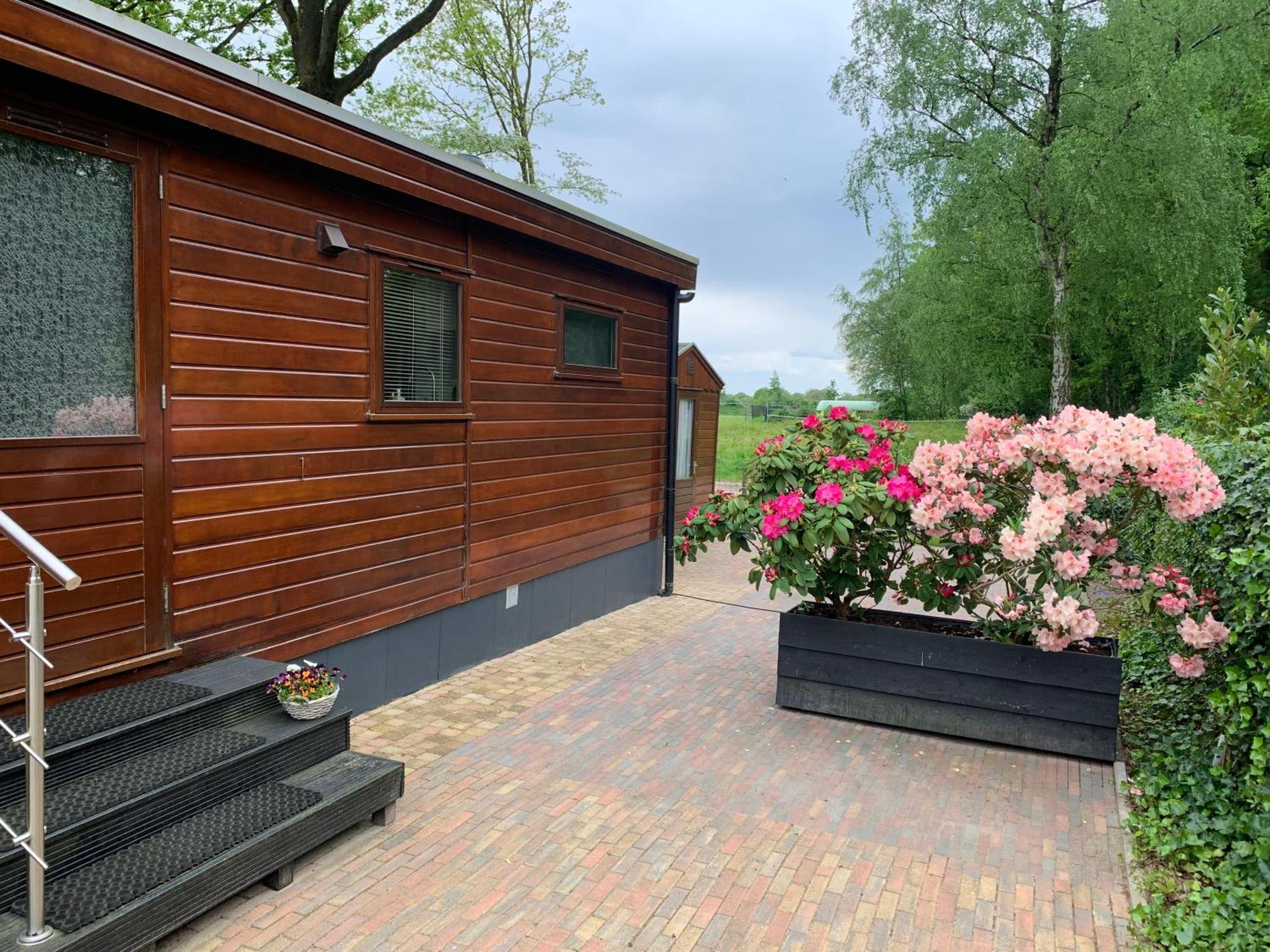 De Specht Villa Anloo Екстериор снимка